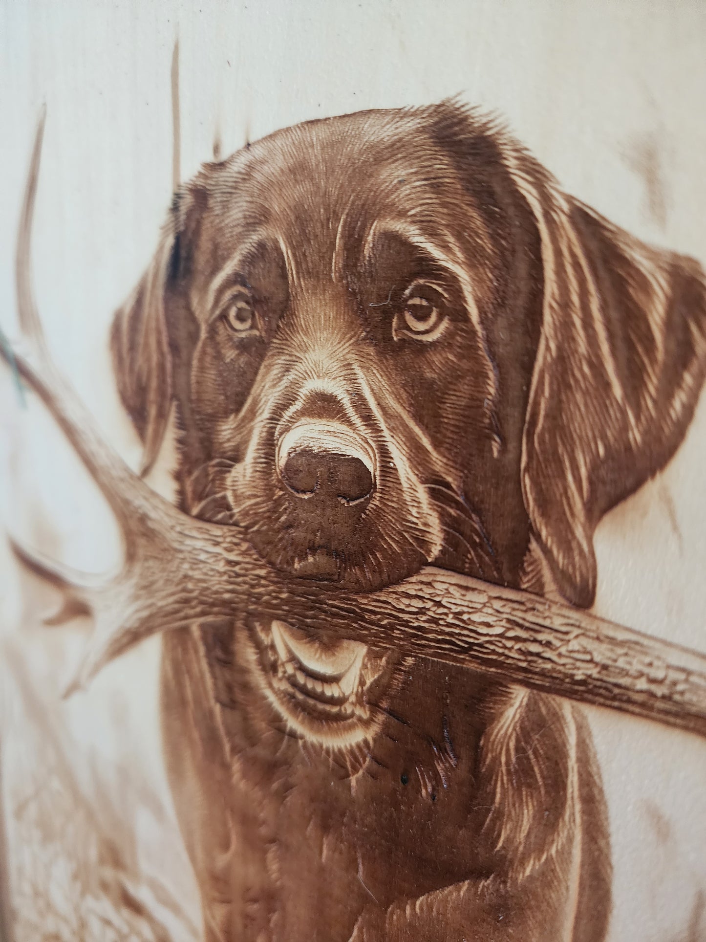 Black Lab Laser Engraving on Live Edge Wood – Hunting Dog Wall Art