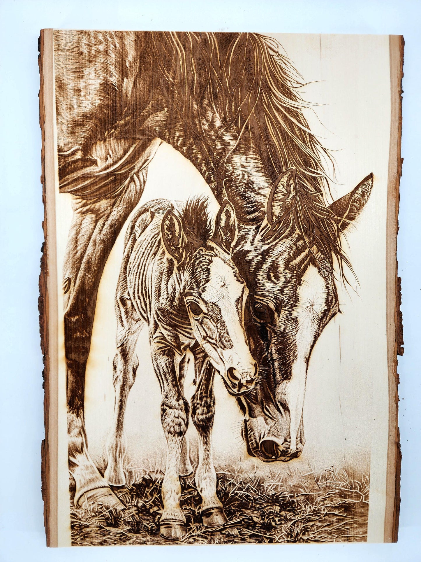 Laser Engraved Horse Wall Art, Mare & Colt Wall Art, Rustic Horse Decor