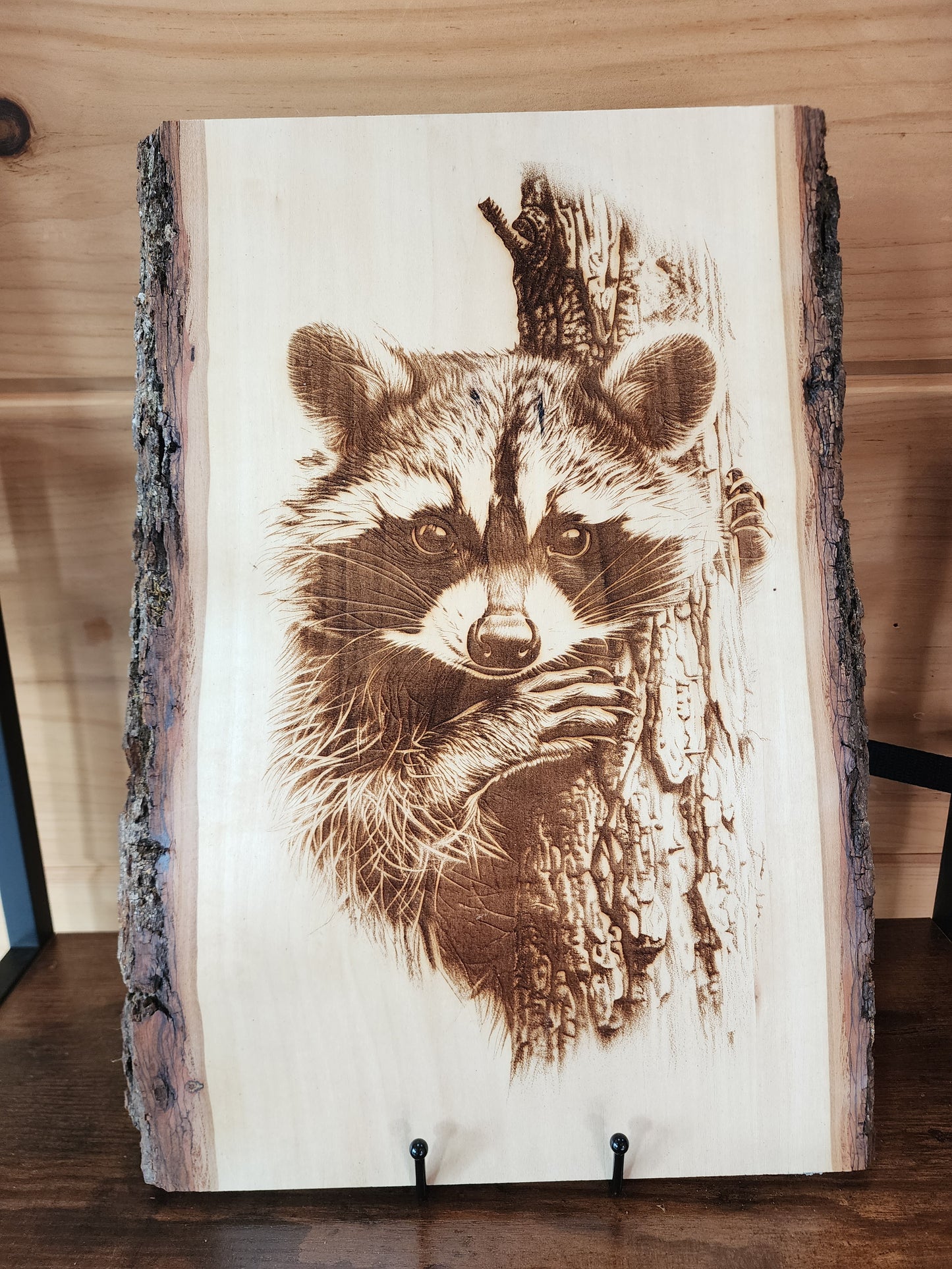 Curious Raccoon Peek – Laser-Engraved Live Edge Basswood Wildlife Art