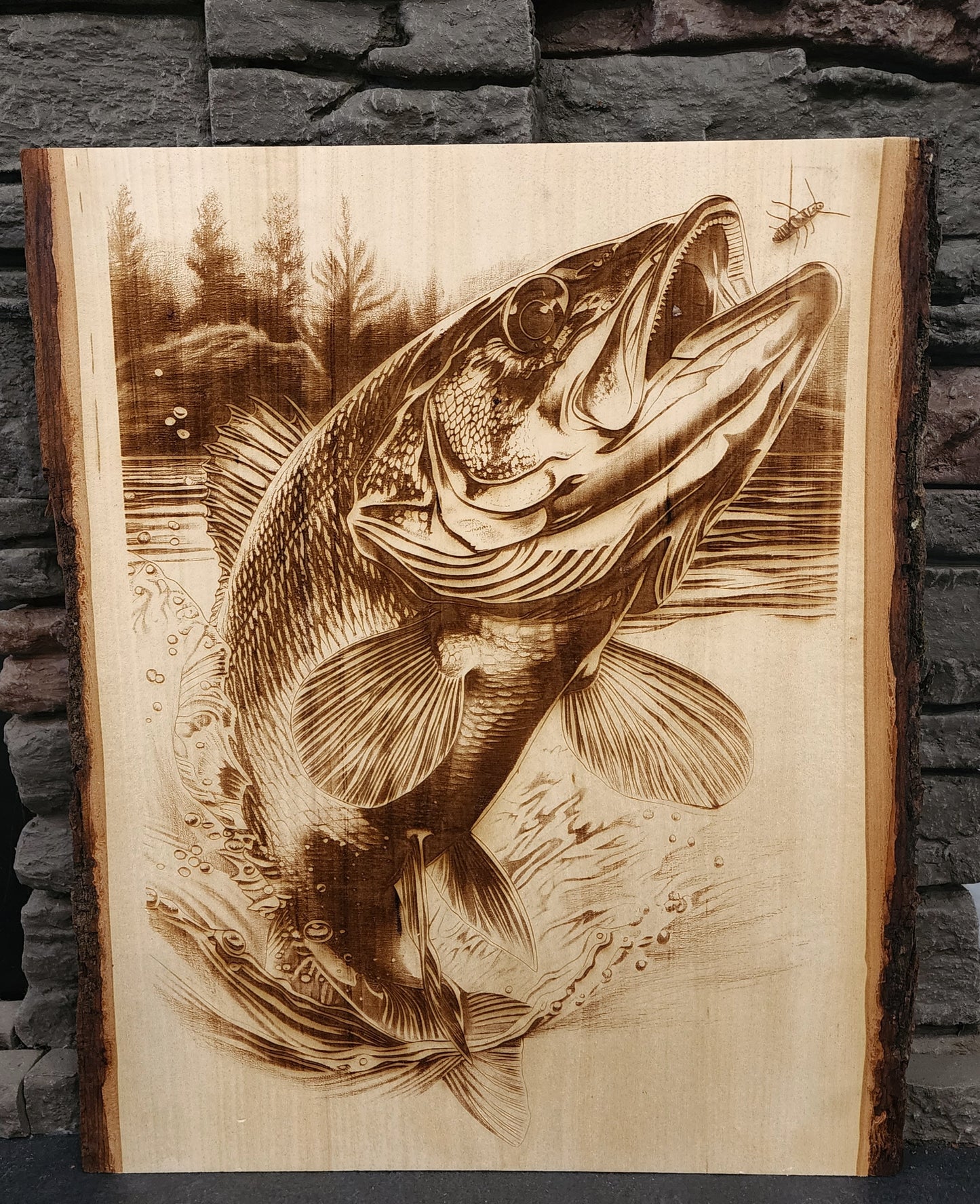 Trophy Bass Live Edge Laser Engraving
