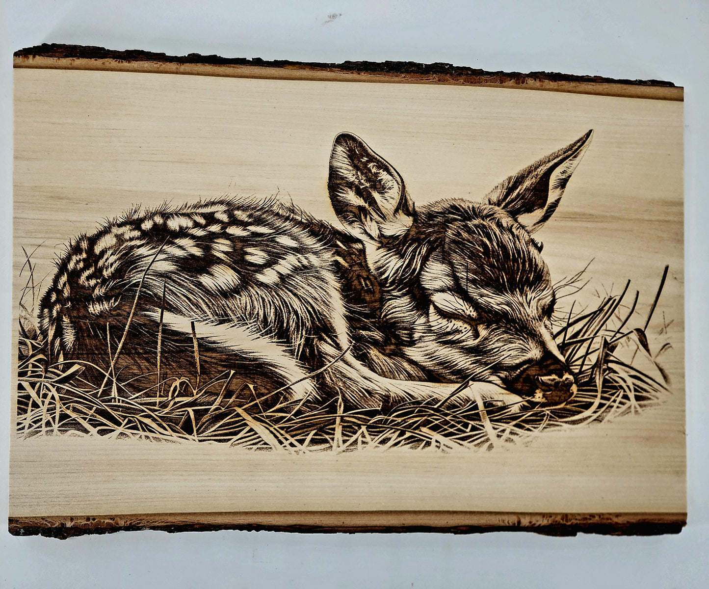 Laser Engraved Baby Deer on Live Edge Basswood - Rustic Woodland Nursery Decor, Baby Animal Wall Art, Forest Theme Gift - 1057